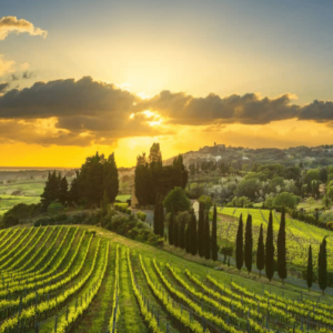 30 ottobre - CENA TOSCANA CON ABBINAMENTO VINI